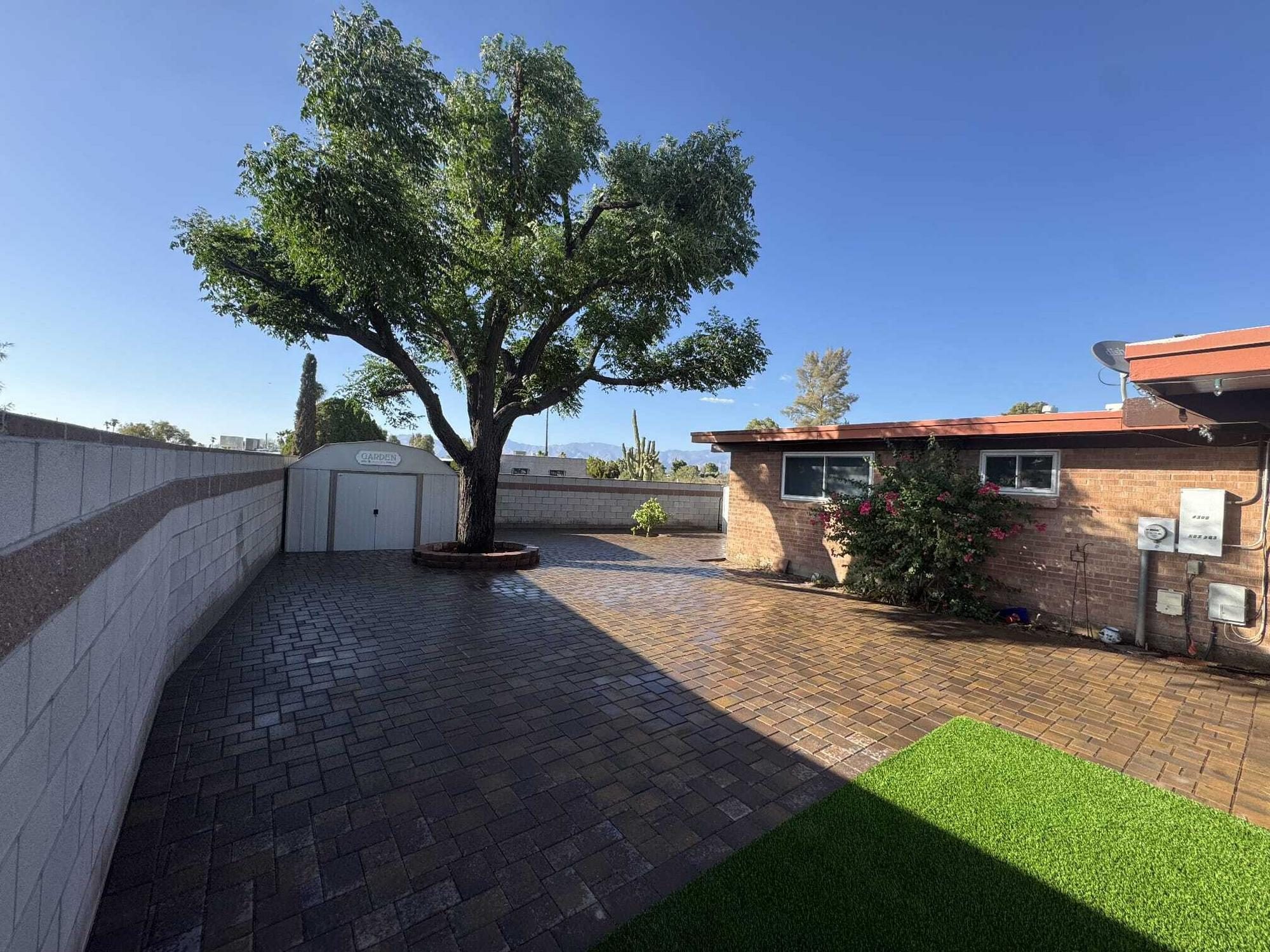 Paver patio with mature shade tree and turf accent in a Tucson backyard by Sorce Signature Outdoors